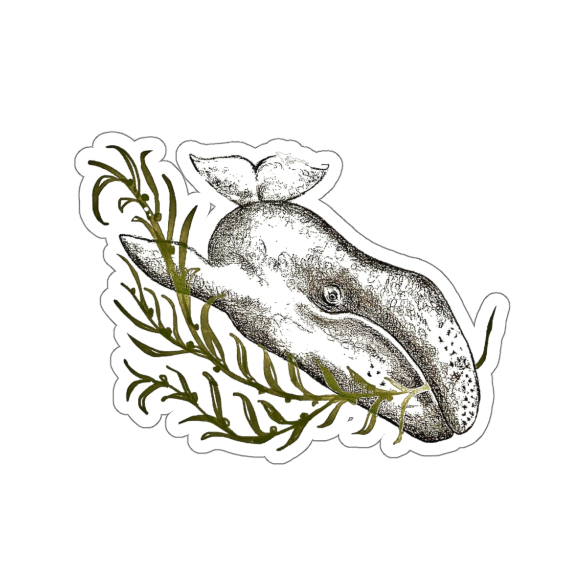 Grey Whale Kiss-Cut Stickers