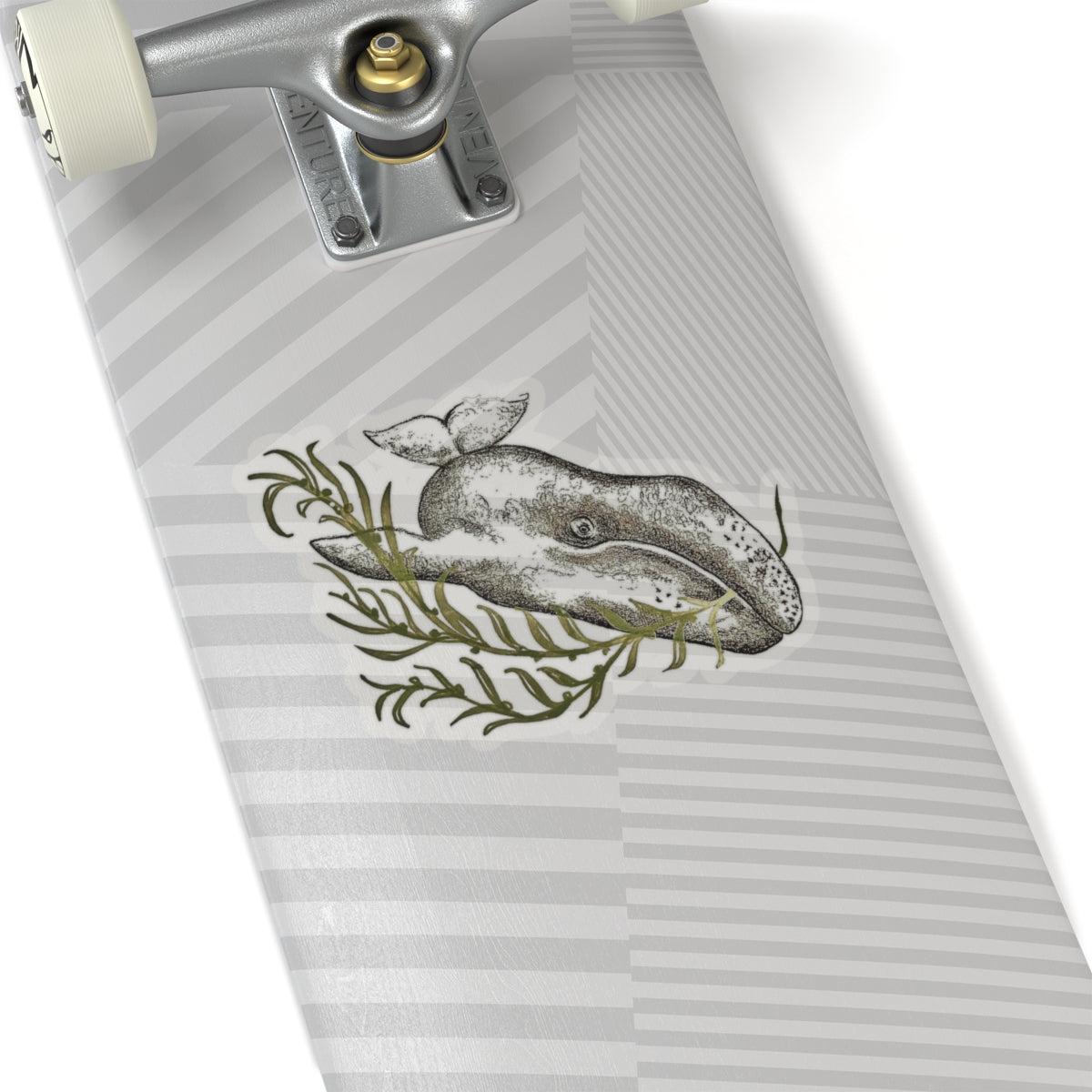 Grey Whale Kiss-Cut Stickers
