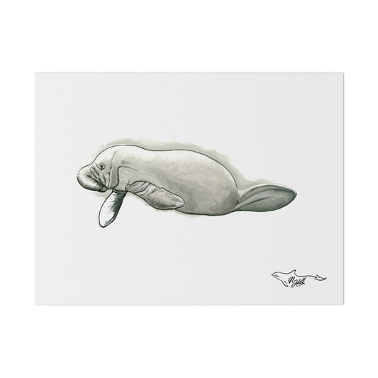 Manatee Black and White Matte Canvas, Stretched, 0.75"