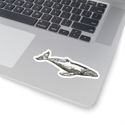 Humpback Whale Kiss-Cut Stickers