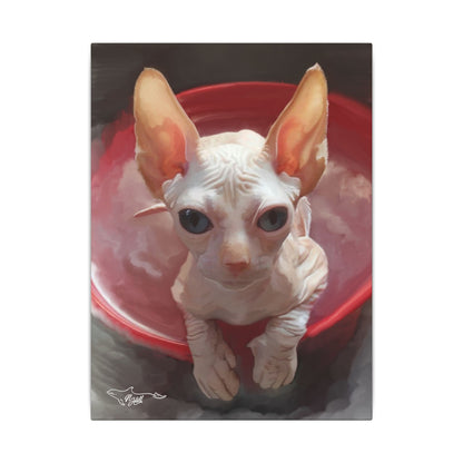Sphynx Cat Matte Canvas, Stretched, 0.75"