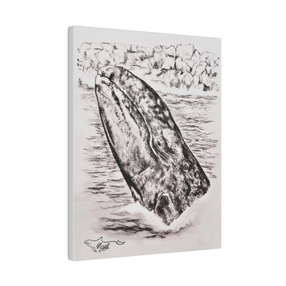 Gray Whale Matte Canvas, Stretched, 0.75"