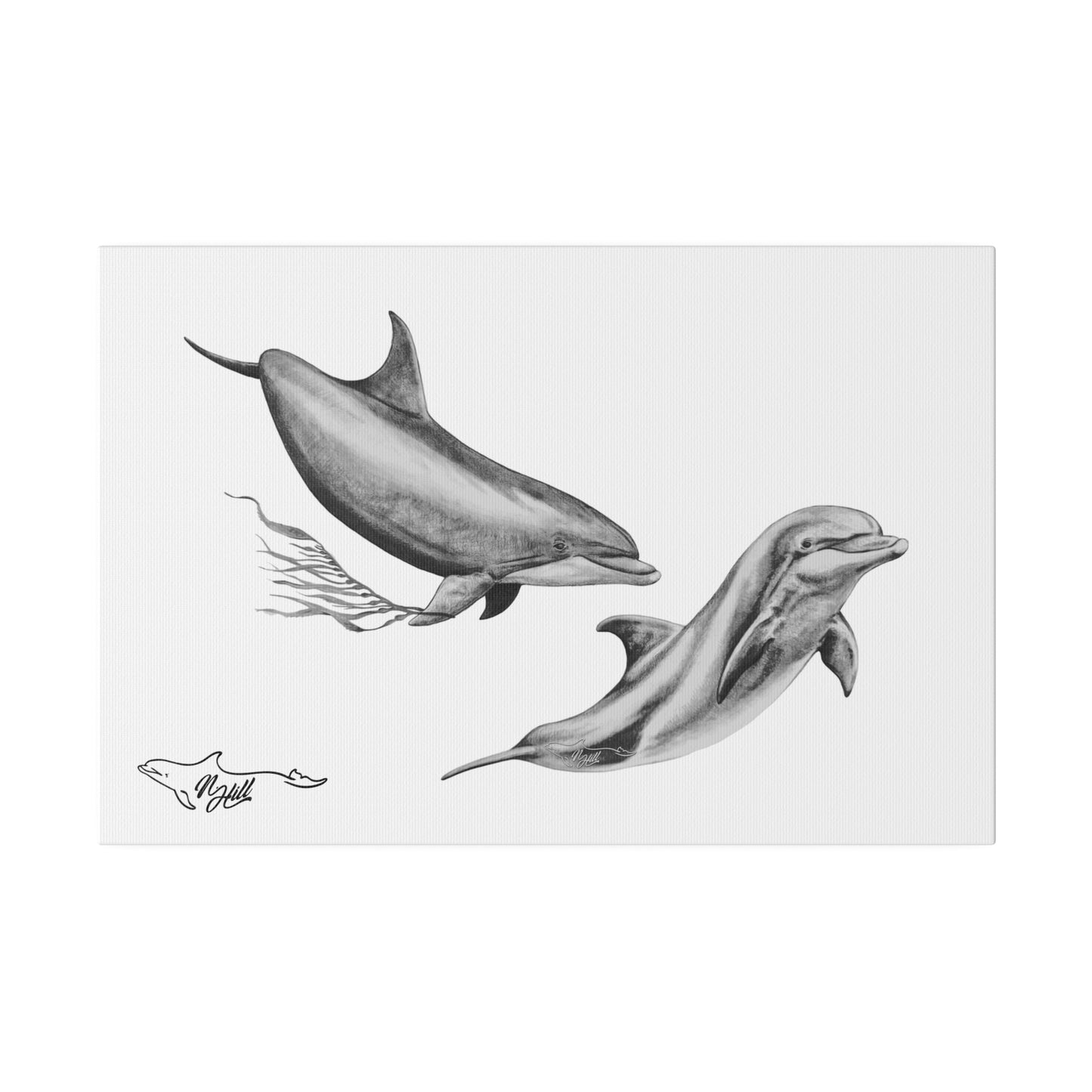 Pacific Wild Dolphin Matte Canvas 12" x 18", Stretched, 0.75"