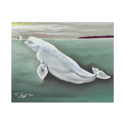 Beluga Whale Hvaldamir Matte Canvas, Stretched, 0.75"