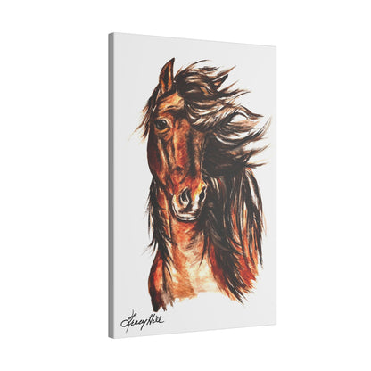 Morgan Horse Matte Canvas by Tracy Hill, Stretched, 0.75"