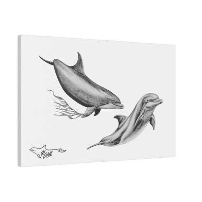 Pacific Wild Dolphin Matte Canvas 12" x 18", Stretched, 0.75"