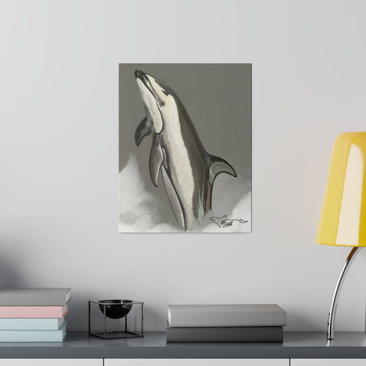 Pacific White Sides Dolphin Matte Canvas 12" x 9", Stretched, 0.75"