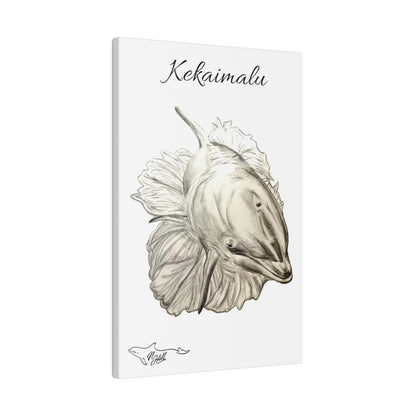 Kekaimalu Wholphin Matte Canvas 12" x 18", Stretched, 0.75"