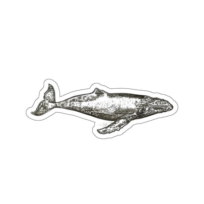 Humpback Whale Kiss-Cut Stickers