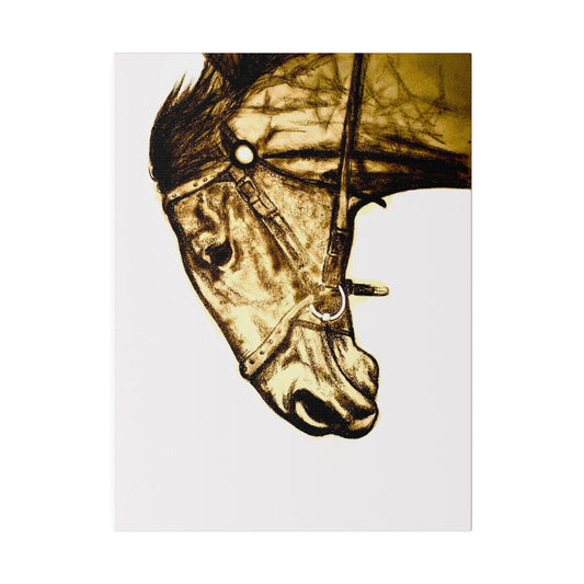 Denny Snowy River Horse Matte Canvas, Stretched, 0.75"