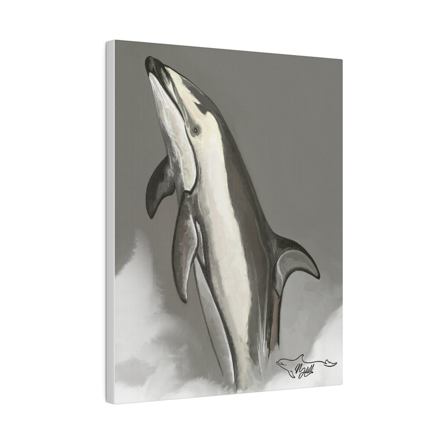 Pacific White Sides Dolphin Matte Canvas 12" x 9", Stretched, 0.75"