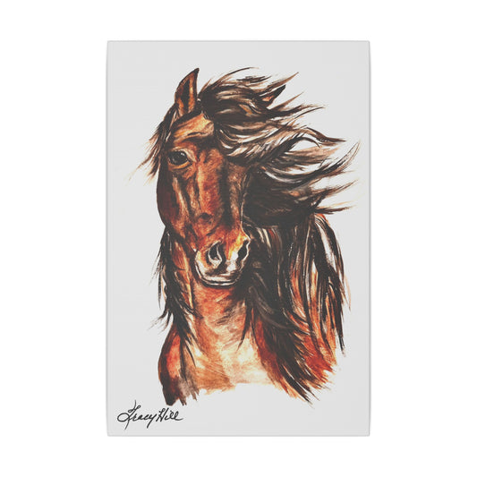 Morgan Horse Matte Canvas by Tracy Hill, Stretched, 0.75"