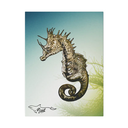 Sea Horse Matte Canvas, Stretched, 0.75"