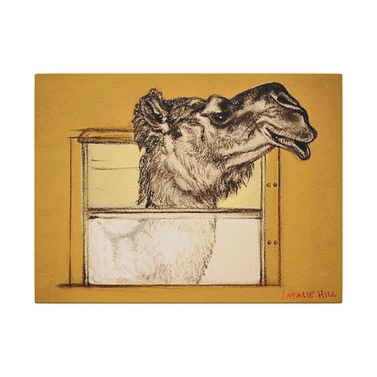 Bussin Clyde The Camel Matte Canvas 12" x 9", Stretched, 0.75"