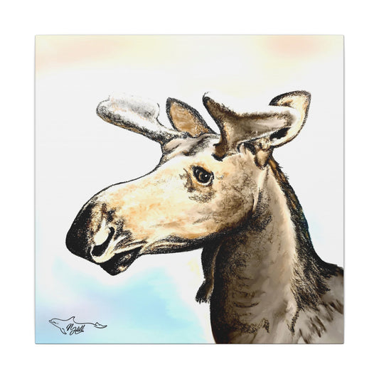 Hidden Springs Moose Matte Canvas, Stretched, 0.75"