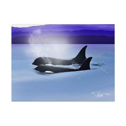 Orca Mist Matte Canvas, Stretched, 0.75"