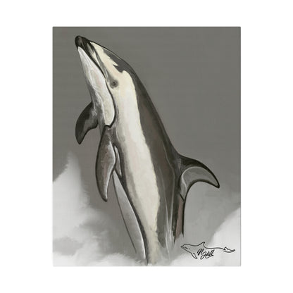 Pacific White Sides Dolphin Matte Canvas 12" x 9", Stretched, 0.75"