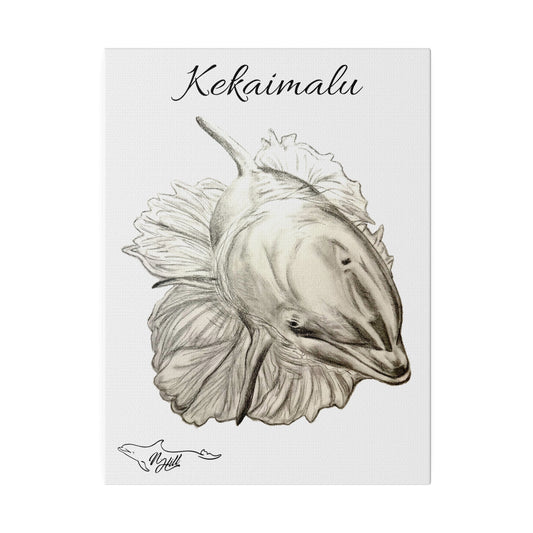 Copy of Kekaimalu Wholphin Matte Canvas 9" x 12", Stretched, 0.75"