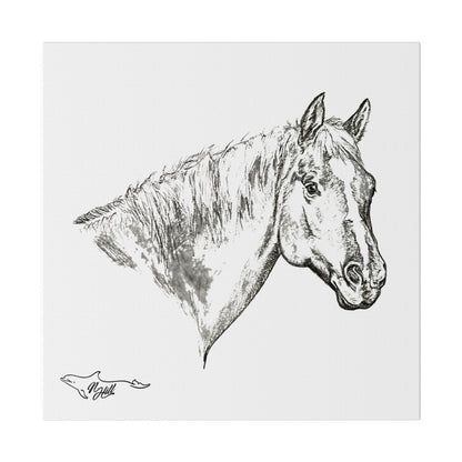 Horse Matte Canvas, Stretched, 0.75"