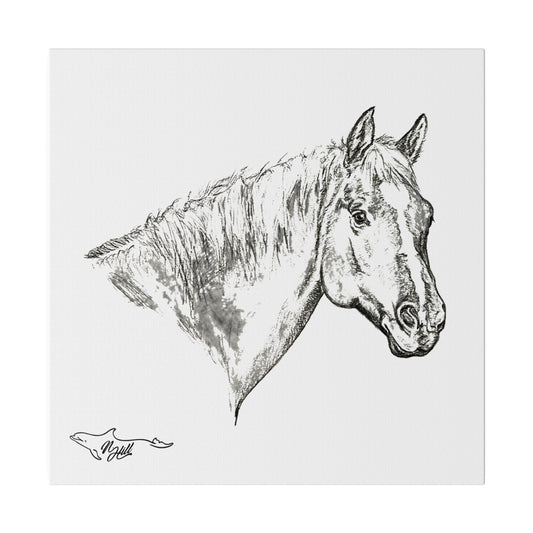 Horse Matte Canvas, Stretched, 0.75"