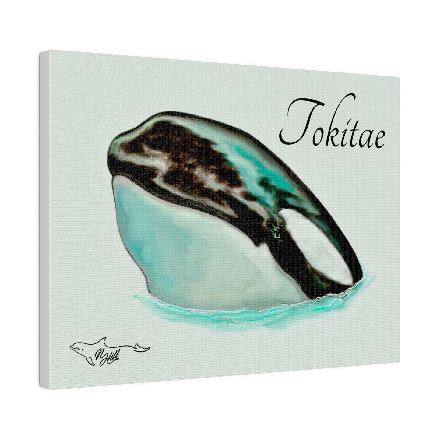 Lolita/Tokitae Orca Matte Canvas, Stretched, 0.75"