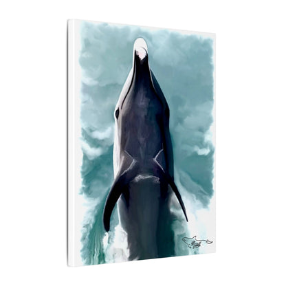 Dolphin Matte Canvas, Stretched, 0.75"
