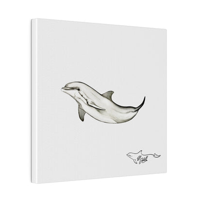 Dolphin Matte Canvas, Stretched, 0.75"