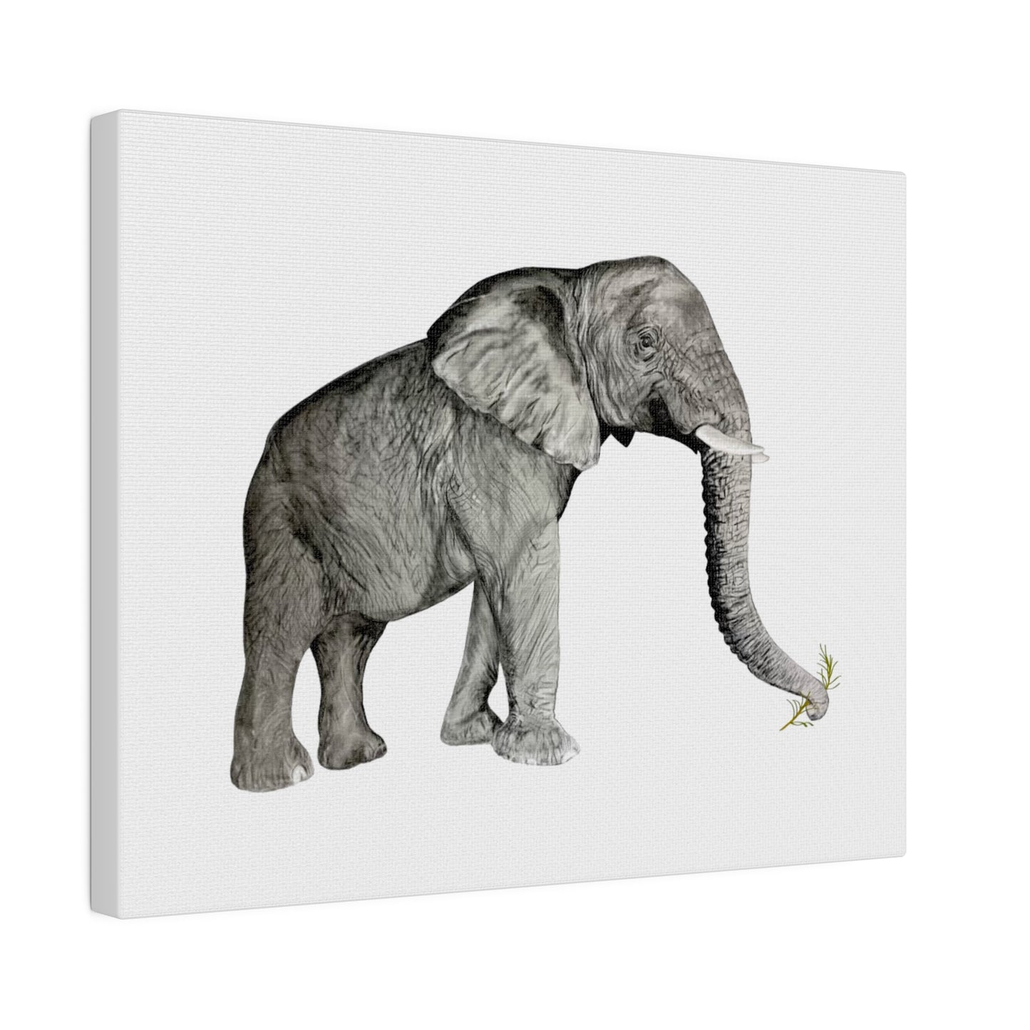 Elephant Memories Matte Canvas, Stretched 10" x 8", 0.75"