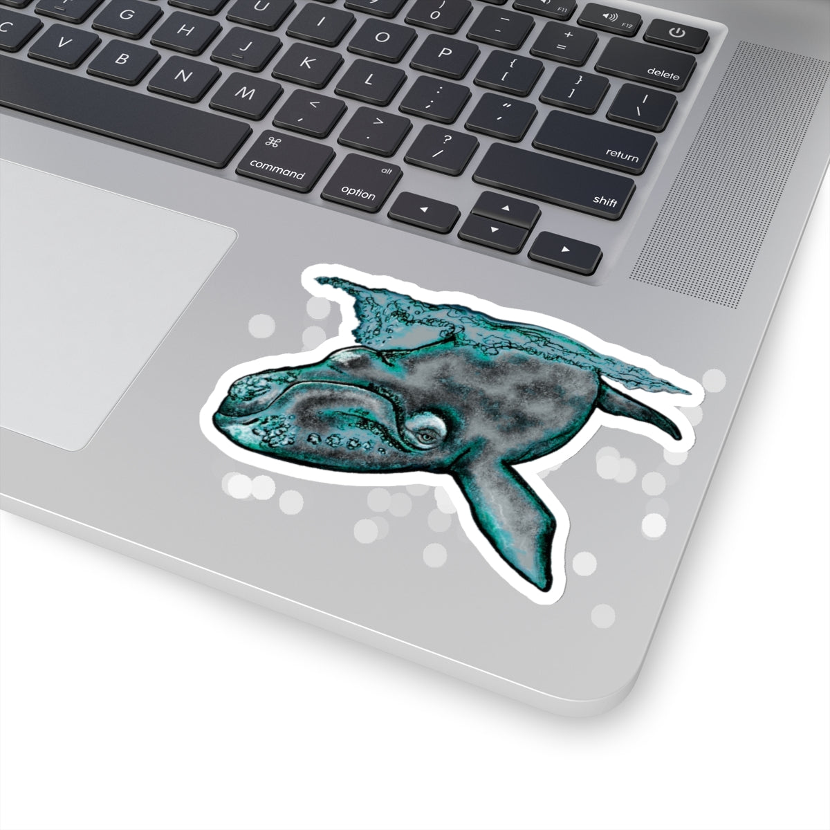 North Atlantic Right Whale Kiss-Cut Stickers