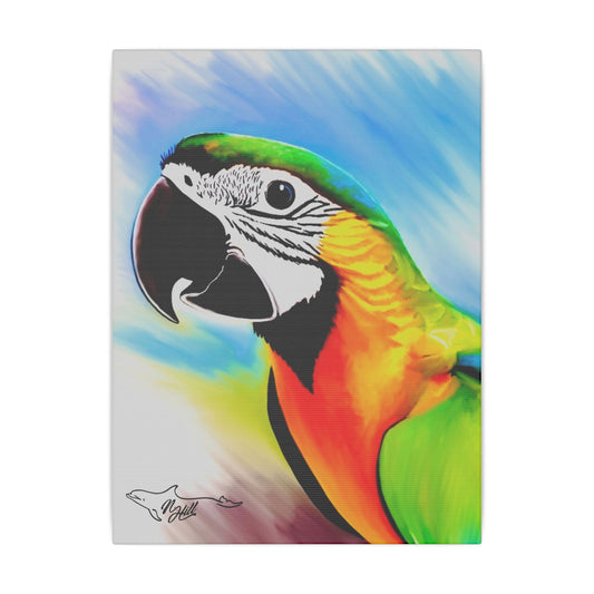 Blue and Gold Macaw Matte Canvas, Stretched, 0.75"