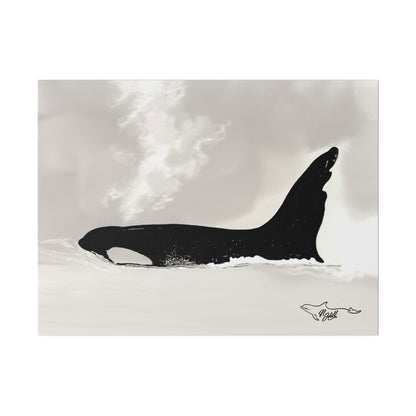 Lolita/Tokitae Orca Matte Canvas, Stretched, 0.75"