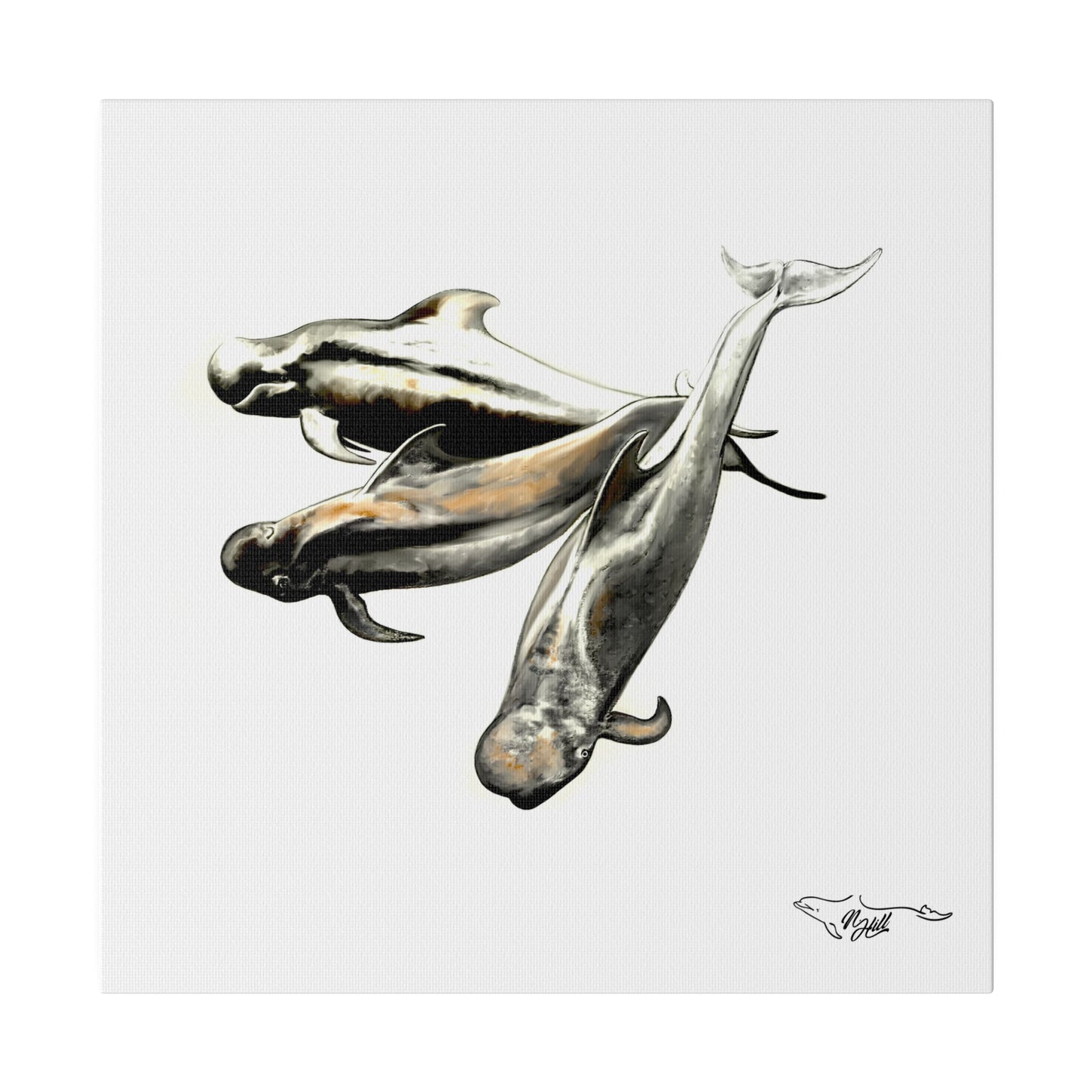 Pilot Whales Matte Canvas, Stretched, 0.75"