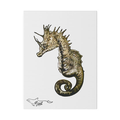 Sea Horse Matte Canvas 9" x 12", Stretched, 0.75"