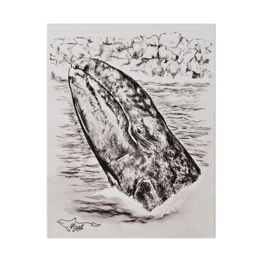 Gray Whale Matte Canvas, Stretched, 0.75"