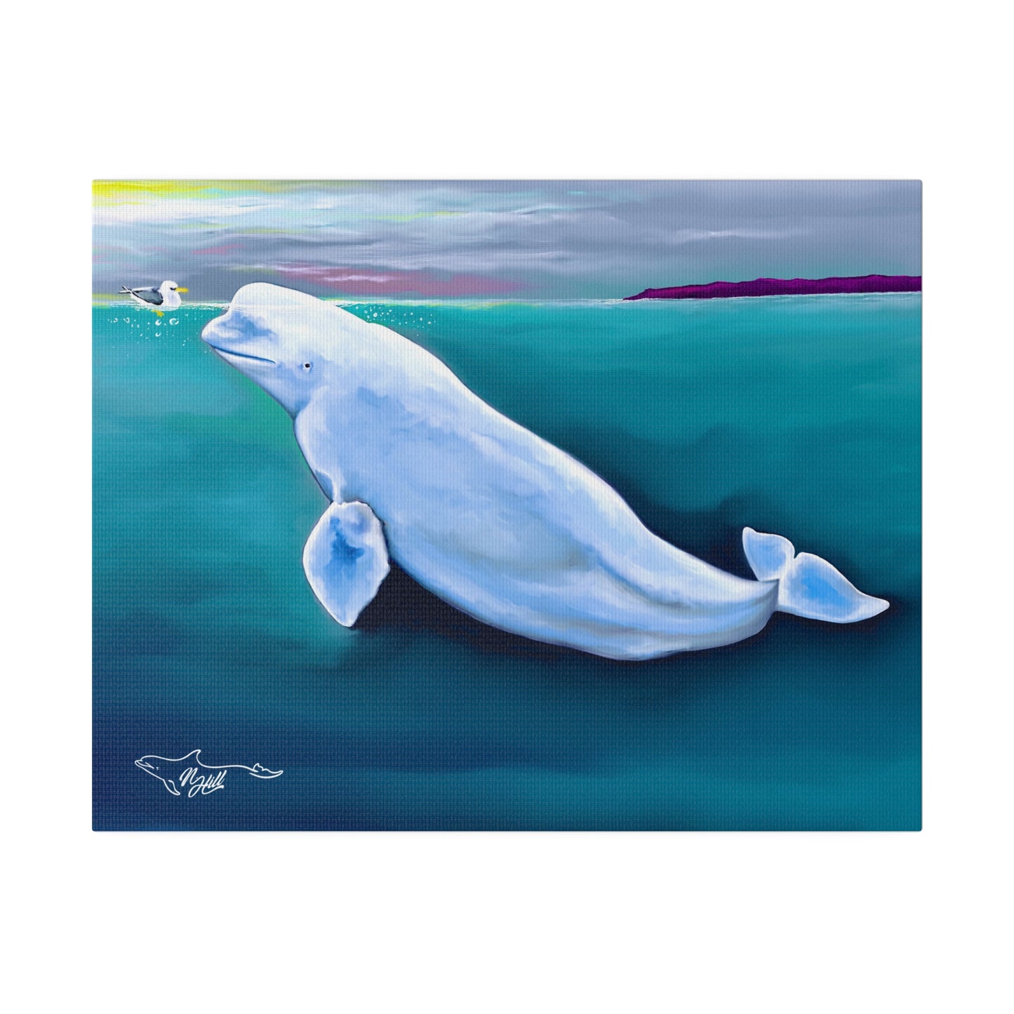 Beluga Whale Hvaldamir Matte Canvas, Stretched, 0.75"