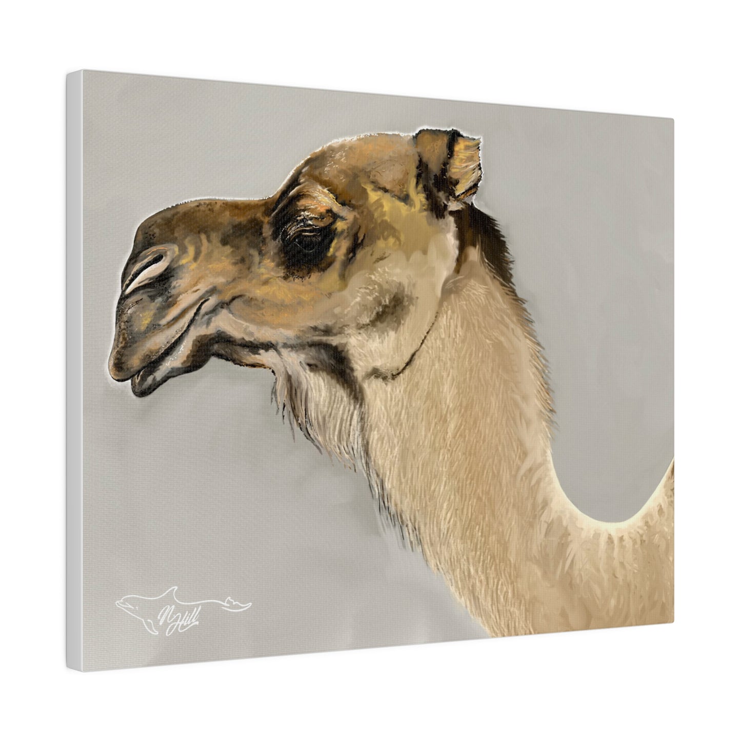 Clyde The Camel Matte Canvas 14" x 11" , Stretched, 0.75"