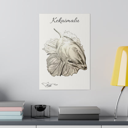 Kekaimalu Wholphin Matte Canvas 12" x 18", Stretched, 0.75"