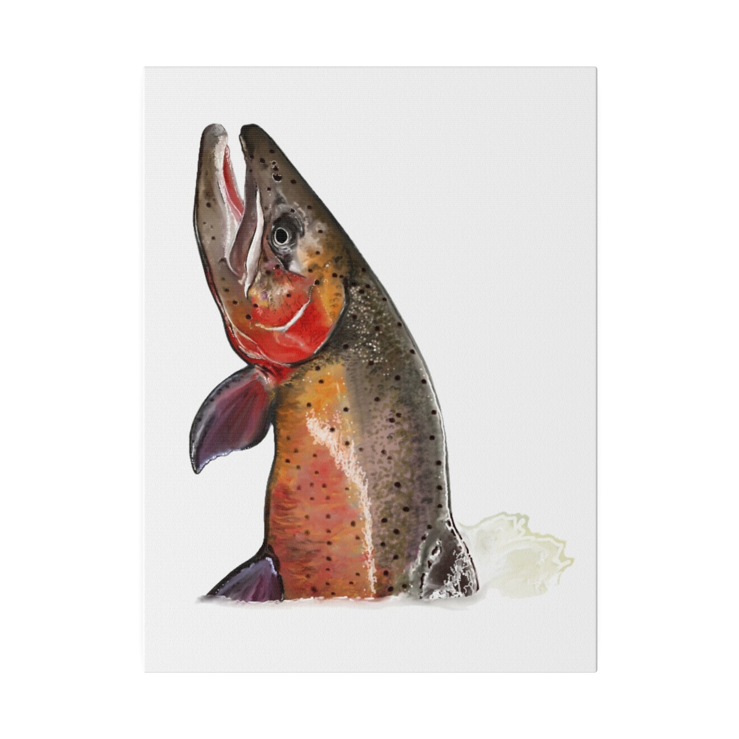 Cutthroat Trout Matte Canvas 12" x !6", Stretched, 0.75"