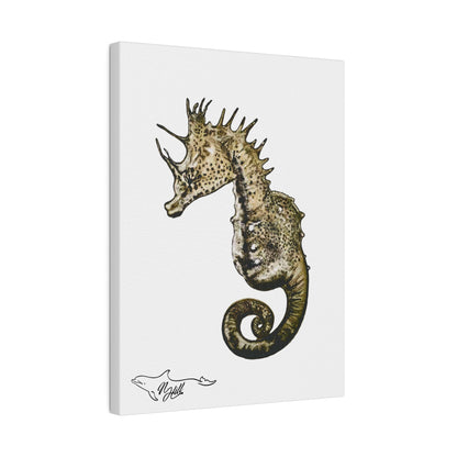 Sea Horse Matte Canvas 9" x 12", Stretched, 0.75"