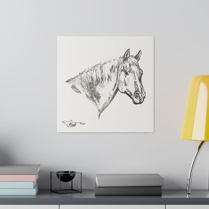 Horse Matte Canvas, Stretched, 0.75"