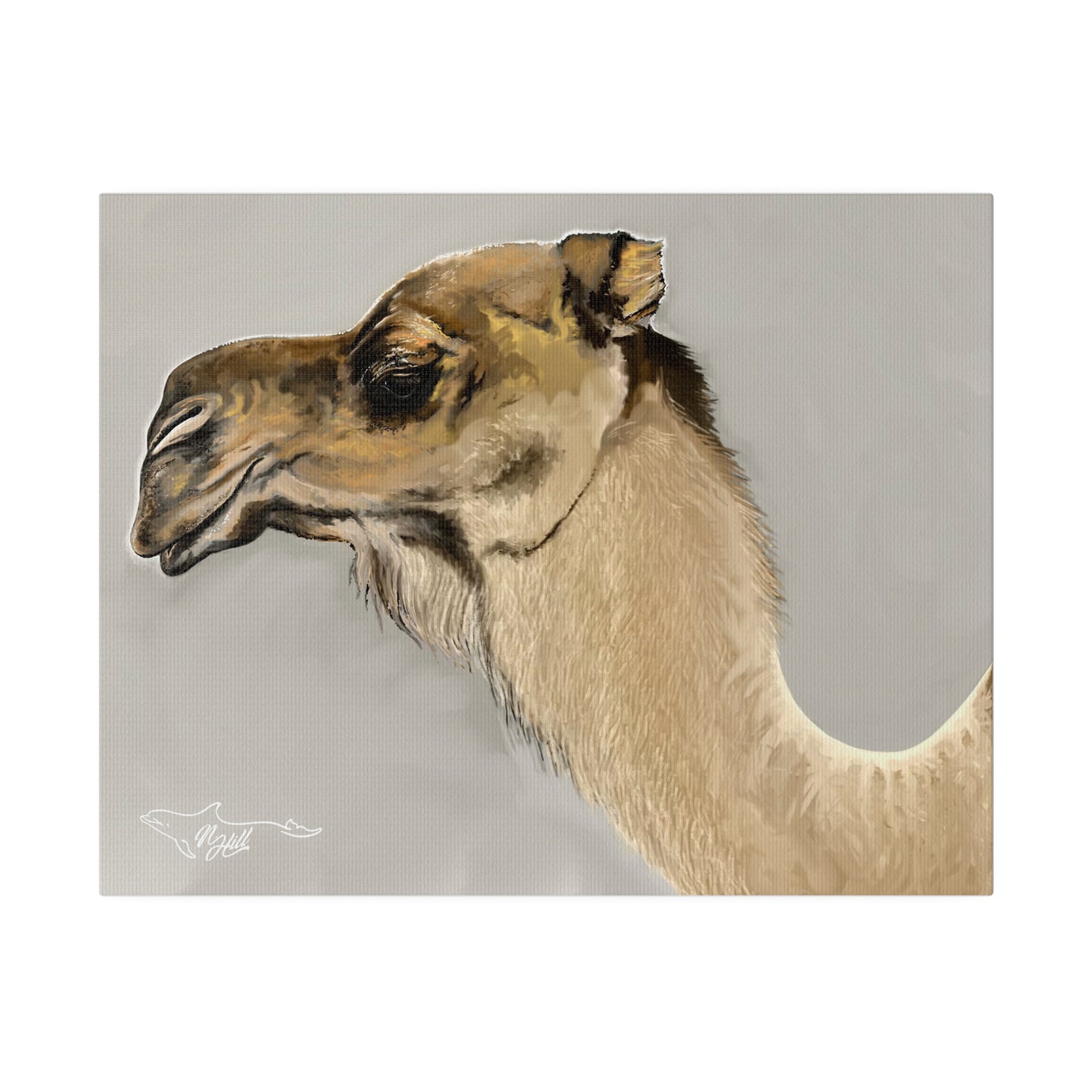 Clyde The Camel Matte Canvas 14" x 11" , Stretched, 0.75"