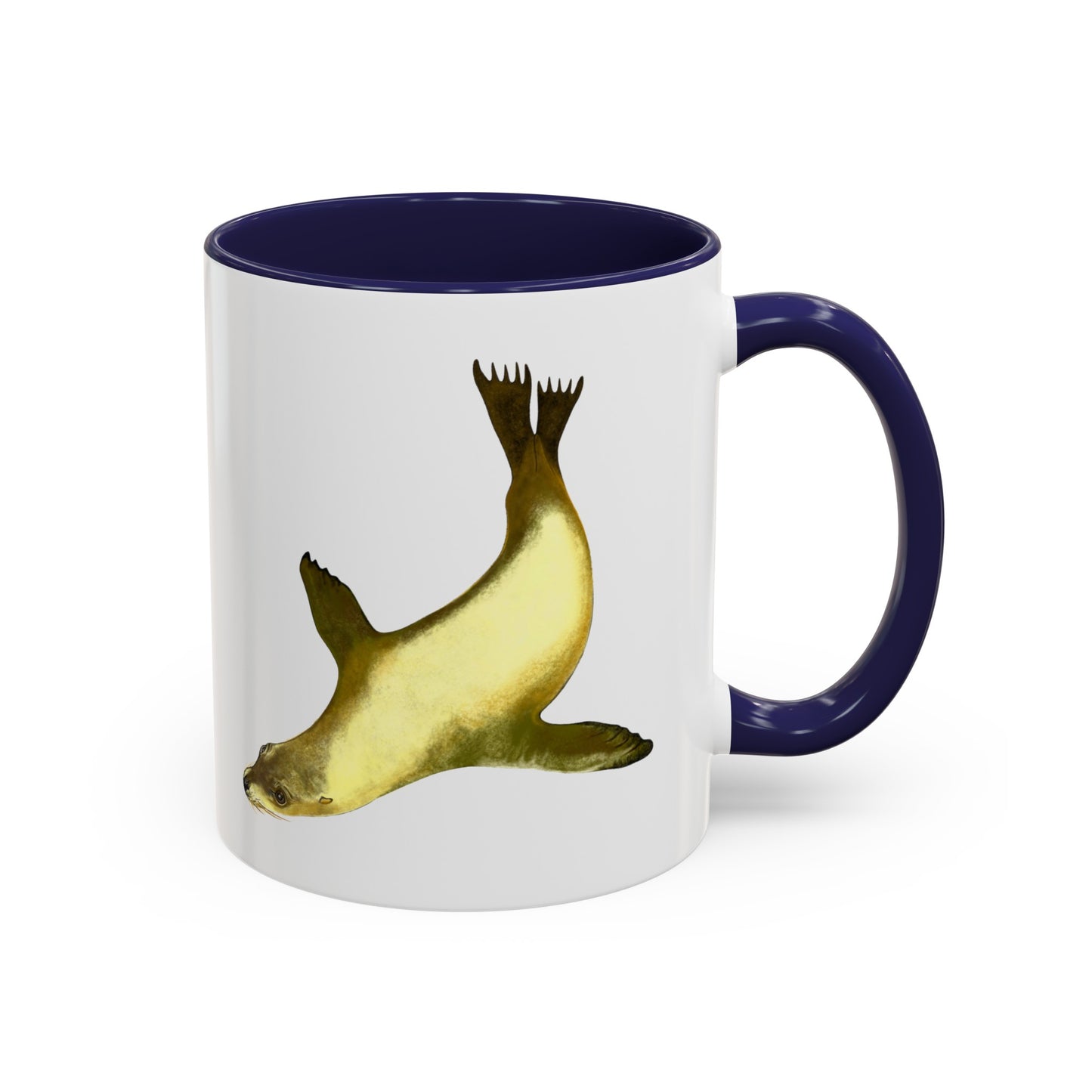 California Sea Lion Accent Coffee Mug, 11oz