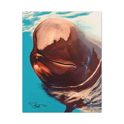 Pilot Whale Matte Canvas, Stretched, 0.75"
