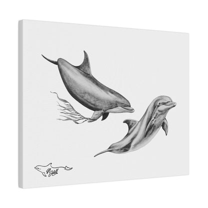 Pacific Wild Dolphin Matte Canvas 14" x 11", Stretched, 0.75"