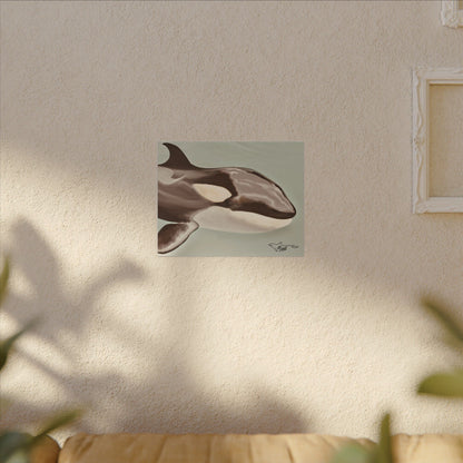 Kamea Orca Splash Matte Canvas, Stretched, 0.75"