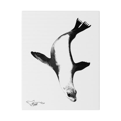 Sea Lion Matte Canvas, Stretched, 0.75"