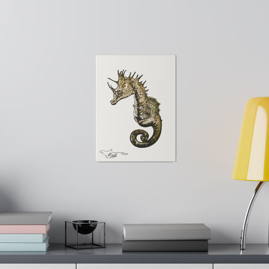 Sea Horse Matte Canvas 9" x 12", Stretched, 0.75"