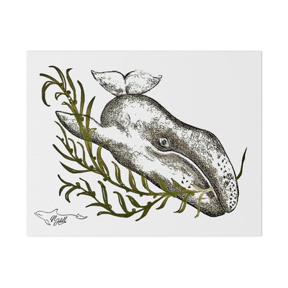 Gray Whale Matte Canvas 14" x 11", Stretched, 0.75"