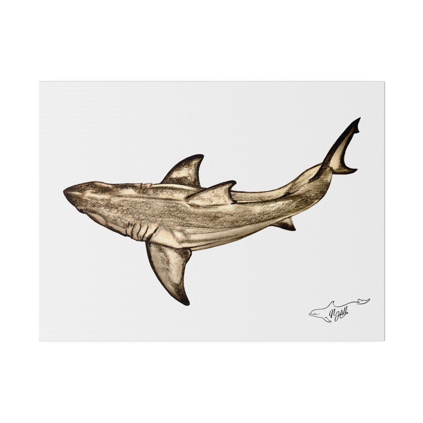 Great White Shark Matte Canvas 16" x 12", Stretched, 0.75"