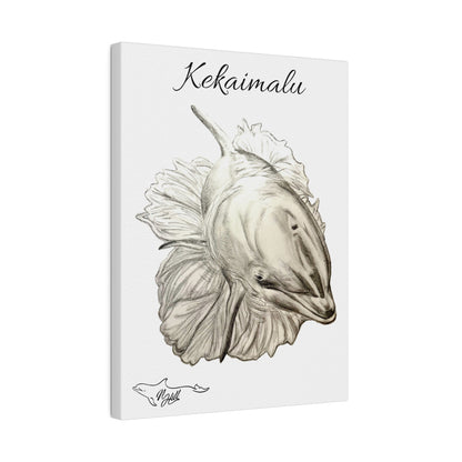 Copy of Kekaimalu Wholphin Matte Canvas 9" x 12", Stretched, 0.75"